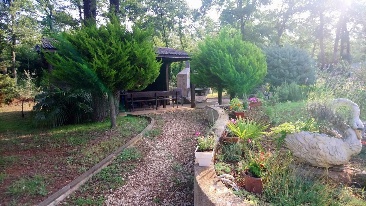 Apartment Andjel Poreč Zewnętrze zdjęcie
